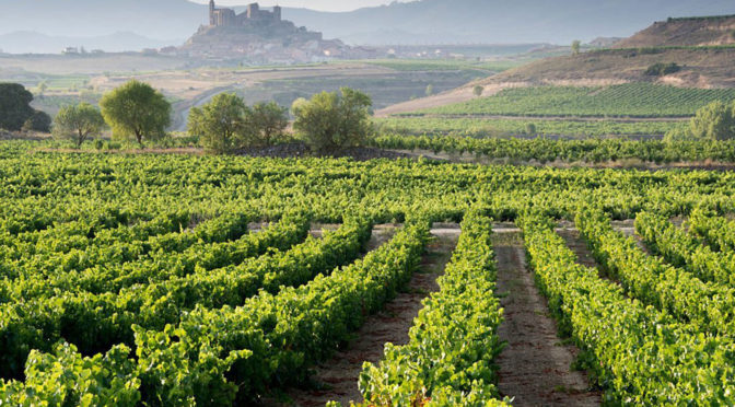 Rioja ya cuenta con 133 ‘Viñedos Singulares’
